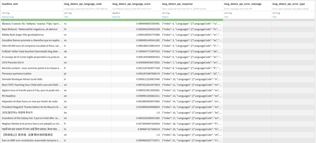 Language Detection Output Dataset